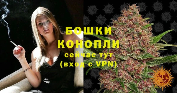 мет Нягань