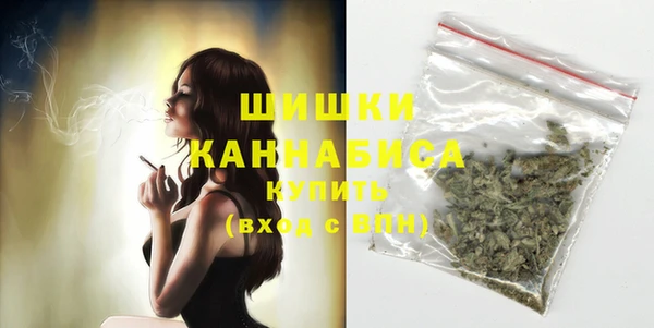 винт Няндома