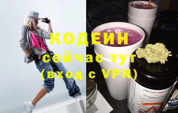 винт Няндома