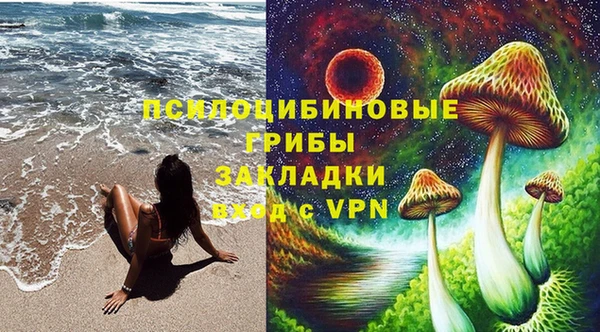 винт Няндома